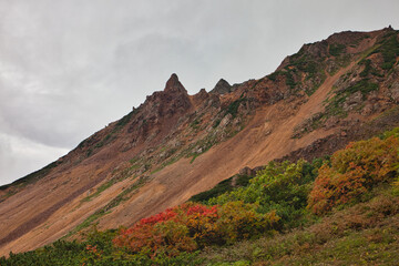 Mt.Shirouma and alpine plants in early autumn, 初秋の白馬岳登山と高山植物たち 