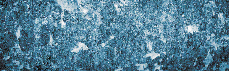 Fototapeta na wymiar blue birch bark with visible texture. background