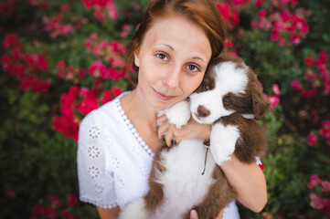 A female owner holding a cute border collie puppy in roses