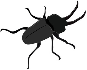 Stag beetle vector, with large horns, dark color, on a white background