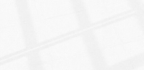 Abstract Shadow. blur background. gray leaves that reflect concrete walls on a white wall surface for blurred backgrounds and monochrome wallpapers.