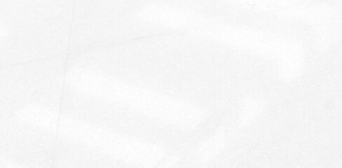 Abstract Shadow. blur background. gray leaves that reflect concrete walls on a white wall surface for blurred backgrounds and monochrome wallpapers.