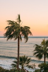 sunset on the beach