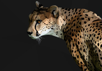 Low poly, geometrical, illustration of an African Cheetah from the side on a grey background.