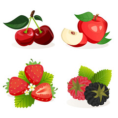 A set of fruits and berries in a vector. Ready-made images for working on a white background.
