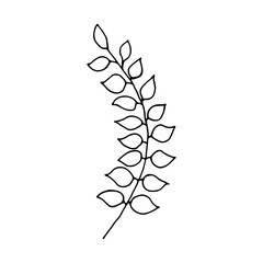 Hand drawn branch with leaves isolated on white background. Decorative doodle sketch illustration. Vector floral element.