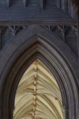 Naklejka premium Detail of the ceiling of a cathedral