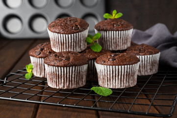 Chocolate muffins or cupcakes with chocolate drops on a dark wooden background with fresh berries and mint. Copy space.