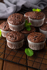 Chocolate muffins or cupcakes with chocolate drops on a dark wooden background with fresh berries...