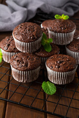 Chocolate muffins or cupcakes with chocolate drops on a dark wooden background with fresh berries and mint. Copy space.
