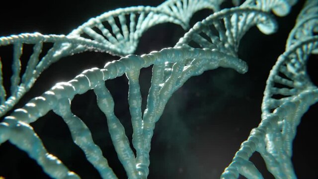DNA Doppel Helix Spirale: Konzept Evolution, Klonen oder Genmanipulation
