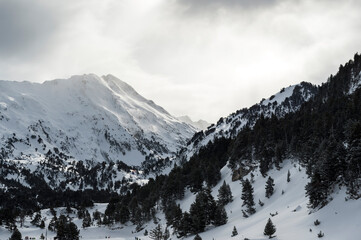 snowy mountains with sunbeams between them and trees in the snow