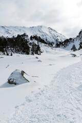 marked path between the snow between the mountains and the trees