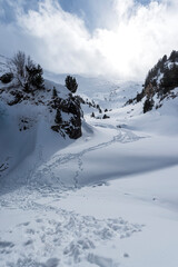 snowy mountain valley with trees and sun in the background