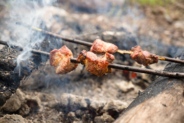 Grilled meat on charcoal on a branch outdoor