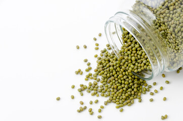 緑豆、八重生、文豆、ムング豆