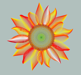 abstract flower background