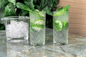 gin tonic mojito glass cocktail water ice lime tropical leaves table drink