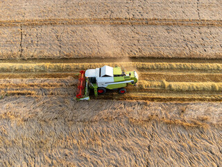 Luftbild eines Mähdrescher bei der Ernte © Animaflora PicsStock