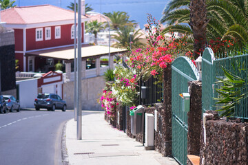 Spanish city by the sea. Quiet street in flowers. The sea is on the horizon.