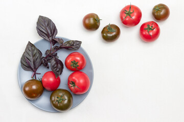 Fresh tomatoes and sprigs of blue basil on plate. Tomatoes on table