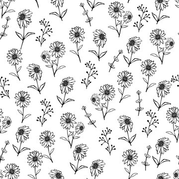 Black doodle contour chamomile flowers isolated on transparent background. Hand drawn floral ink seamless pattern vector illustration. Great for textile, paper, gift wrap or colouring for kids.