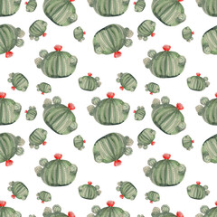 Watercolor seamless pattern with green round wild growing cactus. Seamless design on the theme of cacti on a white background.