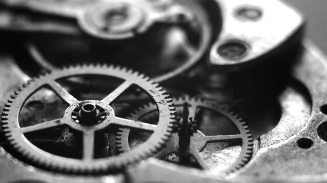 Mechanical watch repair. Adjust a wristwatch. Watchmaker repair mechanism