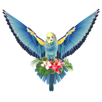 Blue bird  flying budgerigar,green pet parakeet  or budgie or shell parakeet home pet natural and orchids cymbidium palm,philodendron and ficus vintage vector illustration editable hand draw
