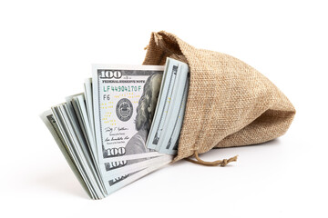 Money in the bag isolated on a white background