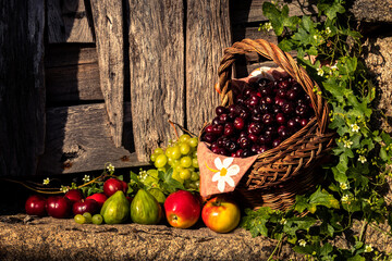 Horizontal still life of fruits with cherries as protagonists in a wicker basket and rustic look....