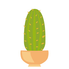 Cactus in a pot. Beautiful green houseplant isolated vector.