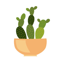 Opuntia. Indoor flower in a pot. Beautiful green houseplant isolated vector.