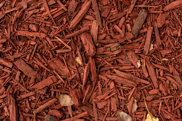 Red shavings from the bark of a tree on the ground. Background image