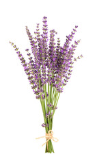 Fototapeta premium Lavender flowers, isolated on white background. Bunch of Lavandula or lavender flowers. Medicinal herbs.