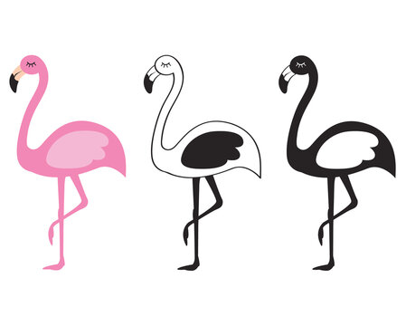 Cute Flamingo with Silhouette Set