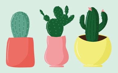 Collection of indoor plants, decorative cacti in pots, cute and cartoon illustration, Scandinavian style, tropical plants, a set of home flowers, vector design elements, print, poster