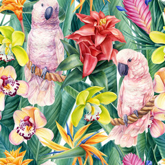 Cockatoo, Paradise background, birds and tropical flowers, watercolor illustration, seamless pattern. Digital paper