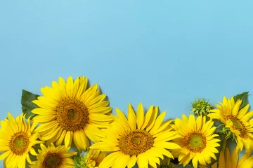 Gartenposter Summertime or autumn concept. Sunflowers with copy space on pastel blue background. Top view flat lay. © elena_hramowa