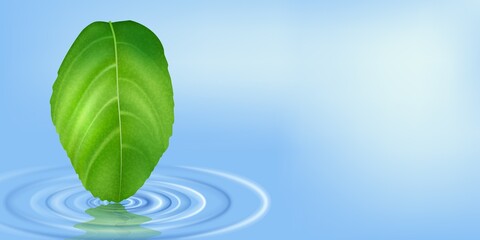 Ecology. Circles on the water of a tree leaf. Abstract vector illustration of a leaf falling on the water. Concentric circles on the water from a fallen object. A banner for creativity.