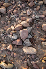 pebbles, sand and shells on the seashore
