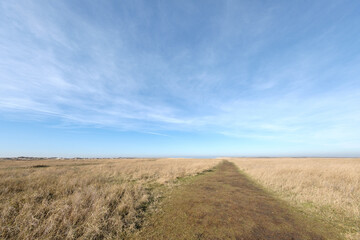 Fototapeta premium Slufter, Texel, Noord-Holland province, The Netherlands