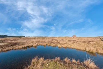 Fototapete Landscape Texel, Noord-Holland province, The Netherlands © Holland-PhotostockNL