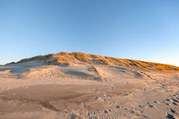 Texel,  Noord-Holland province, The Netherlands