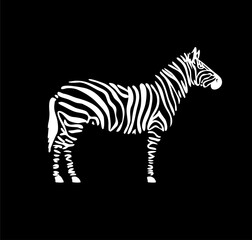 Fototapeta na wymiar abstract zebra standing vector