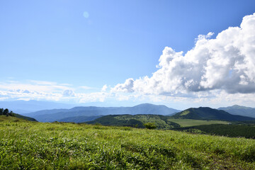 霧ヶ峰,日本百名山,百名山,湿地,新緑,緑,森,ハイキング,自然,登山,夏,夏山,夏空