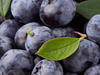 Blueberry fruit top view isolated on a white background, flat lay overhead layout with mint leaf, healthy design concept.