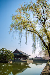 Obraz premium 경복궁의 봄