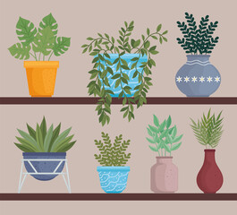 indoor plants with pots