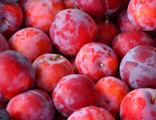 Ripe plum of the new harvest is sold in the bazaar 